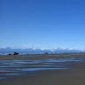 Meet your Posher, Kasi